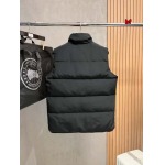 2024年12月4日秋冬高品質新品入荷 Canada Goose ダウンジャケットベスト  BF工場