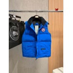 2024年12月4日秋冬高品質新品入荷 Canada Goose ダウンジャケット ベスト BF工場