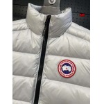 2024年12月4日冬高品質新品入荷 Canada Goose ダウンジャケットベスト BF工場