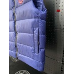 2024年12月4日冬高品質新品入荷 Canada Goose ダウンジャケットベスト BF工場