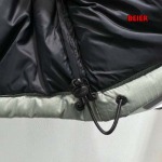 2024年12月4日秋冬高品質新品入荷The North Face ダウンジャケット beier工場