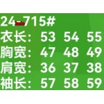 2024年12月18日秋冬高級N品人気シャネル カシミヤ セーター   KL工場