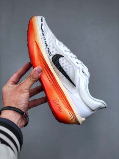 2025年1月27日新品入荷 Nike Zoom Fly 6 Ek  HJ7038-100  Fスニーカー/ランニングシューズ/カジュアルシューズ