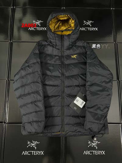 2025年高品質新品入荷 ARCTERYX  ダウンジャケッ...