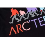 2025年1月9日早春新品入荷 ARCTERYX 半袖 Tシャツ FF工場