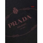 2025年1月16日春夏新品入荷PRADA  半袖 Tシャツ CHIDAO工場