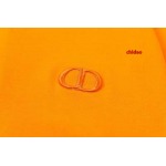 2025年1月16日春夏新品入荷ディオール 半袖 Tシャツ CHIDAO工場