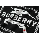 2025年2月26日高品質新品 burberry半袖のT シャツDW工場