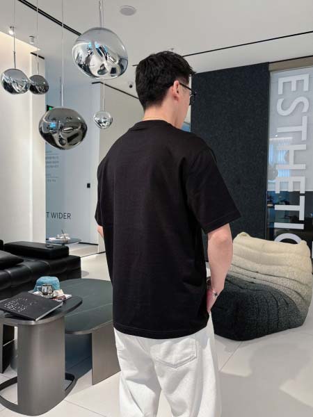 2025年4月6日入荷新作DIOR半袖 Tシャツ高級品/LD工場