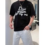 2025年4月6日入荷新作DIOR半袖 Tシャツ高級品/LD工場