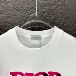 2025年5月30日入荷新作Dior半袖 tシャツ高品質/人気/誕生日プレゼント/DR工場S-2XL