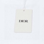 2025年6月5日入荷新作Dior半袖 Tシャツ誕生日プレゼントの服/男女兼用/カップル服人気/BC工場