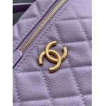 2025年7月17日入荷新作シャネル バッグ最高級品AP4483 logo  Size:：19.5x17x5cm恋人プレゼント/誕生日/母の日/母のひプレゼント/お祝い女性結婚祝い/KK工場