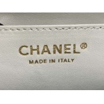 2025年7月17日入荷新作シャネル バッグ最高級品CHANEL AS2431#： Size：20X14X7CM恋人プレゼント/誕生日/母の日/母のひプレゼント/お祝い女性結婚祝い/KK工場