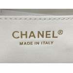 2025年7月17日入荷新作シャネル バッグ最高級品CHANEL AS2431#： Size：20X14X7CM恋人プレゼント/誕生日/母の日/母のひプレゼント/お祝い女性結婚祝い/KK工場