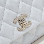 2025年7月17日入荷新作シャネル バッグ最高級品25S Chane1 25s Size：11.5*18*7cm小 5554 Size：13.5*23*7cm大恋人プレゼント/誕生日/母の日/母のひプレゼント/お祝い女性結婚祝い/KK工場