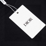 2025年7月22日入荷新作Dior半袖 tシャツ人気商品/DW工場