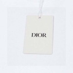 2025年7月22日入荷新作Dior半袖 tシャツ人気商品/DW工場
