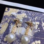 2025年9月25日入荷新品Diorピアスギフト/誕生日/記念品/アクセサリーxin工場