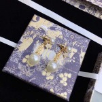 2025年9月25日入荷新品Diorピアスギフト/誕生日/記念品/アクセサリーxin工場