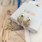 2025年9月26日入荷新品Diorピアスギフト/誕生日/記念品/アクセサリーxin工場
