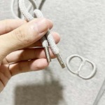 2025年10月9日秋冬入荷新作DIORパーカー高品質安い人気商品/HL工場