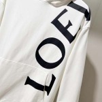 2025年10月17日秋冬入荷新作LOEWEパーカー高品質 人気商品/HL工場XS-L