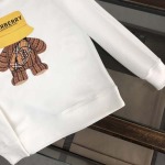 2025年10月20日秋冬入荷新作BURBERRYスウェット高品質 人気商品/HL工場