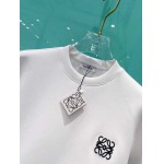 2025年10月21日入荷新作Loeweスウェット 秋冬高品質超厳選★入手困難/LD工場