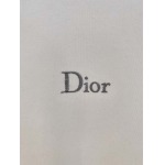 2025年10月21日入荷新作Dior長袖Tシャツ 秋冬高品質超厳選★入手困難/LD工場