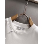 2025年10月21日入荷新作Dior半袖Tシャツ 秋冬高品質超厳選★入手困難/LD工場