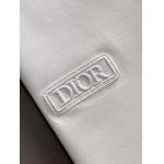 2025年10月21日入荷新作Dior半袖Tシャツ 秋冬高品質超厳選★入手困難/LD工場