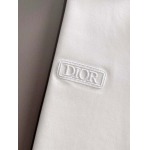 2025年10月21日入荷新作Dior半袖Tシャツ 秋冬高品質超厳選★入手困難/LD工場