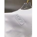 2025年10月21日入荷新作Dior半袖Tシャツ 秋冬高品質超厳選★入手困難/LD工場
