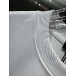 2025年10月26日入荷秋冬新作ARCTERYX半袖Tシャツ高級品/MP工場