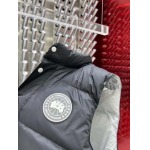 2025年10月27日秋冬新作Canada Gooseダウンジャケット高品質超厳選★入手困難/P5工場