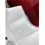 2025年10月27日秋冬新作Canada Gooseダウンジャケット高品質超厳選★入手困難/P5工場