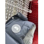 2025年10月27日秋冬新作Canada Gooseダウンジャケット高品質超厳選★入手困難/P5工場