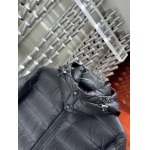 2025年10月27日秋冬新作Moncler ダウンジャケット高品質超厳選★入手困難/P5工場