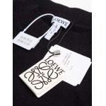 2025年10月27日秋冬新作Loeweニット/セーター高品質超厳選★入手困難/LDF工場