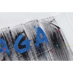 2025年10月28日秋冬新作Balenciaga長袖シャツ高品質人気商品/LDF工場