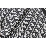 2025年10月28日秋冬新作Diorジャケット人気商品/LDF工場