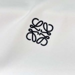 2025年10月30日秋冬新作LOEWEスウェット高品質人気商品/LDF工場