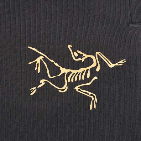 2025年11月12日秋冬新作ARCTERYXスラックス人気商品/LDF工場