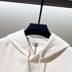 2025年11月3日秋冬新作LOEWEパーカー高品質人気商品/LDF工場