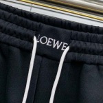 2025年11月4日秋冬新作Loeweズボン高品質人気商品/LDF工場
