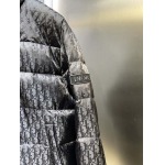 2025年11月4日秋冬新作DIORダウンジャケット高品質人気商品/LDF工場