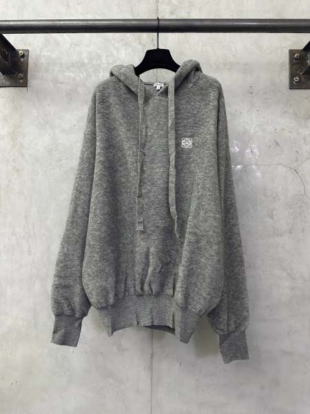 2025年11月4日秋冬新作LOEWEスウェット超厳選★入手...