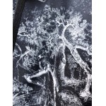 2025年11月5日秋冬新作Dior上下高品質人気商品/LDF工場