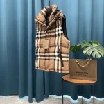 2025年11月7日秋冬新作Burberryダウンジャケット超厳選★入手困難人気商品/LDF工場